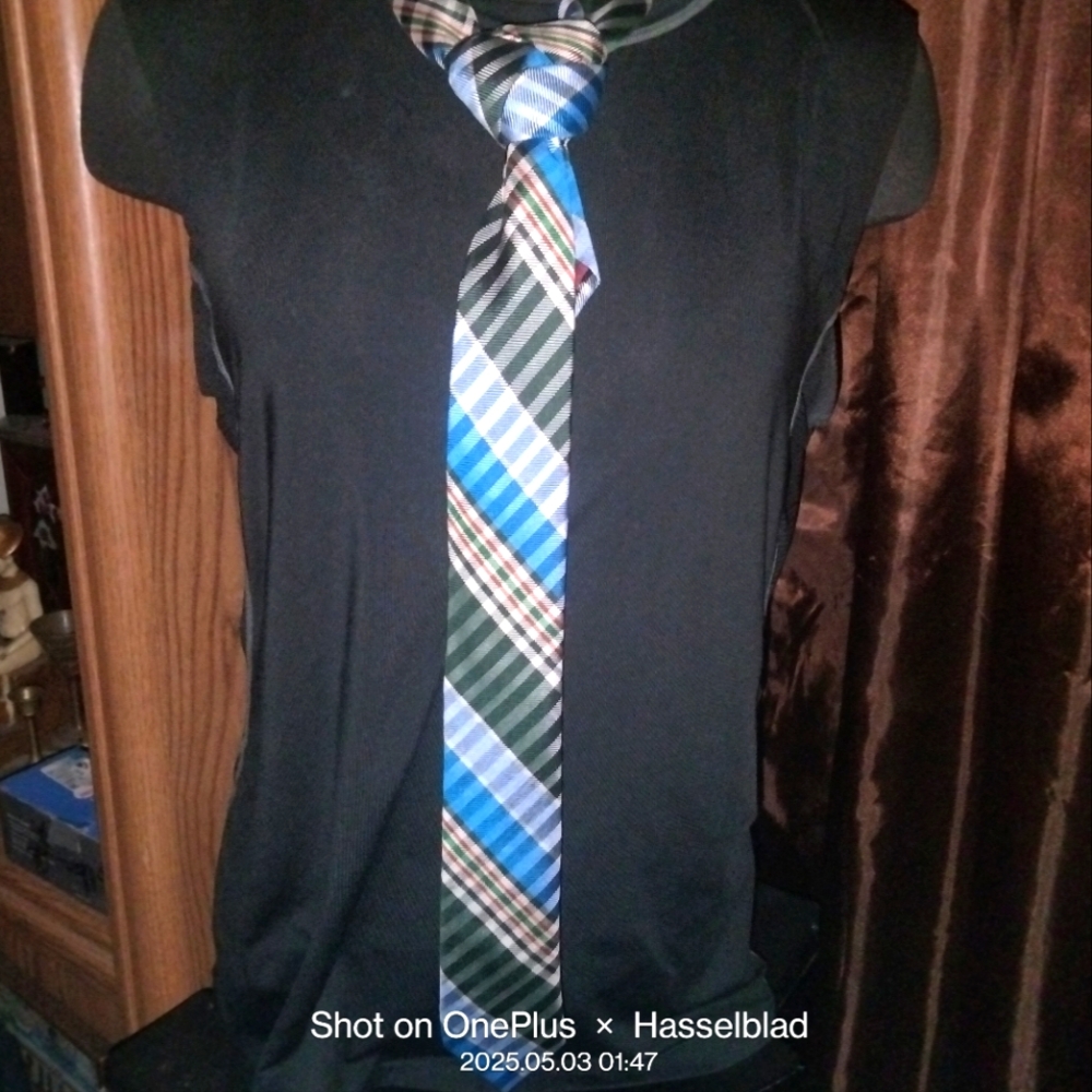 Original Penguin Plaid Tie